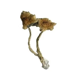 MDMA