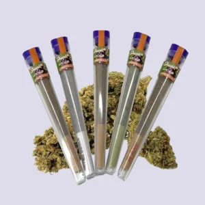 HHZ Pre-Roll Bundle – Skunk 1 with 5 pcs